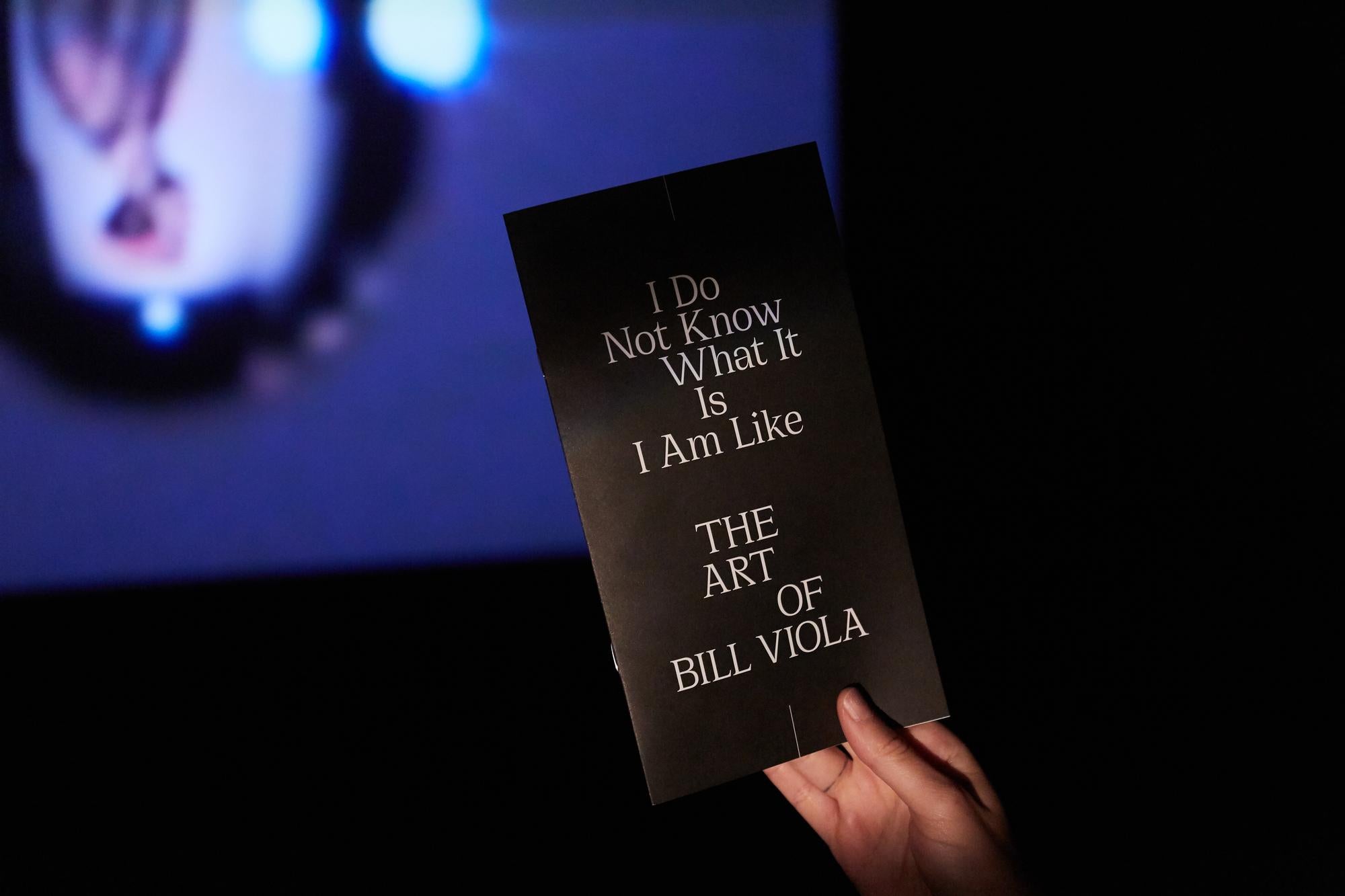 The Art of Bill Viola