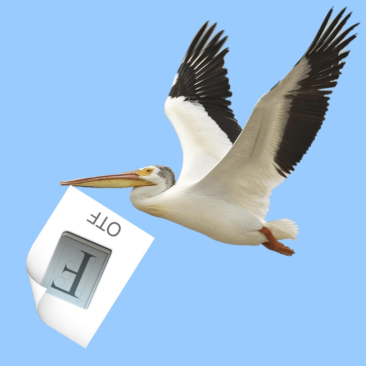 Exploring and drawing: the wonderful WIP-practice of Fabiola Mejía