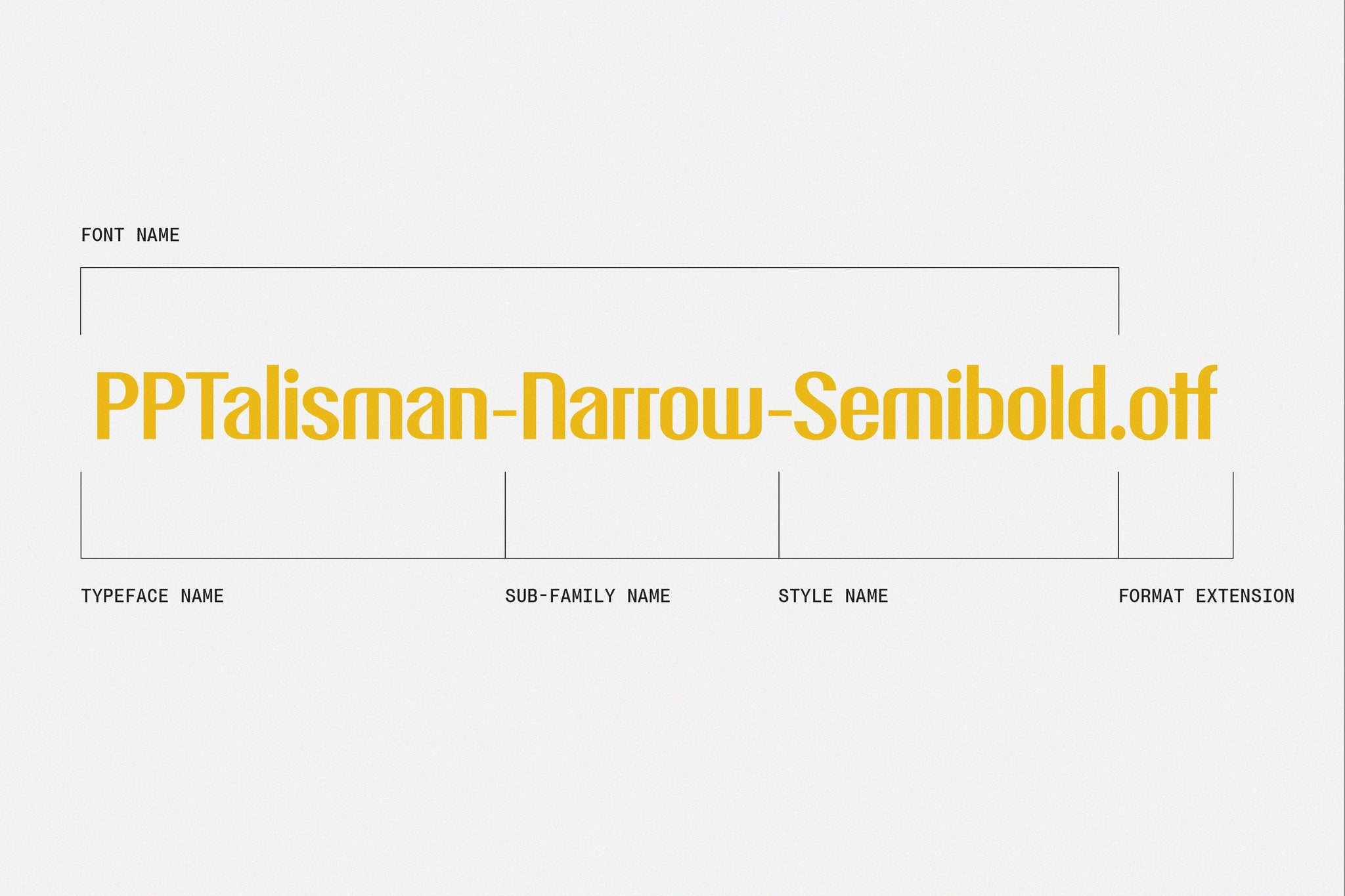 Decoding the Difference: Typeface vs. Font